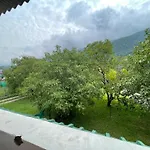 Walnut Tree
