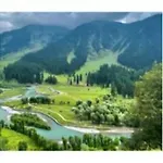 Amarnath Palace, ,Near Laripora,Pahalgam