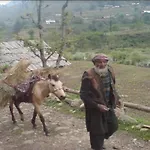 Aru Camping Resort Aru, J&K