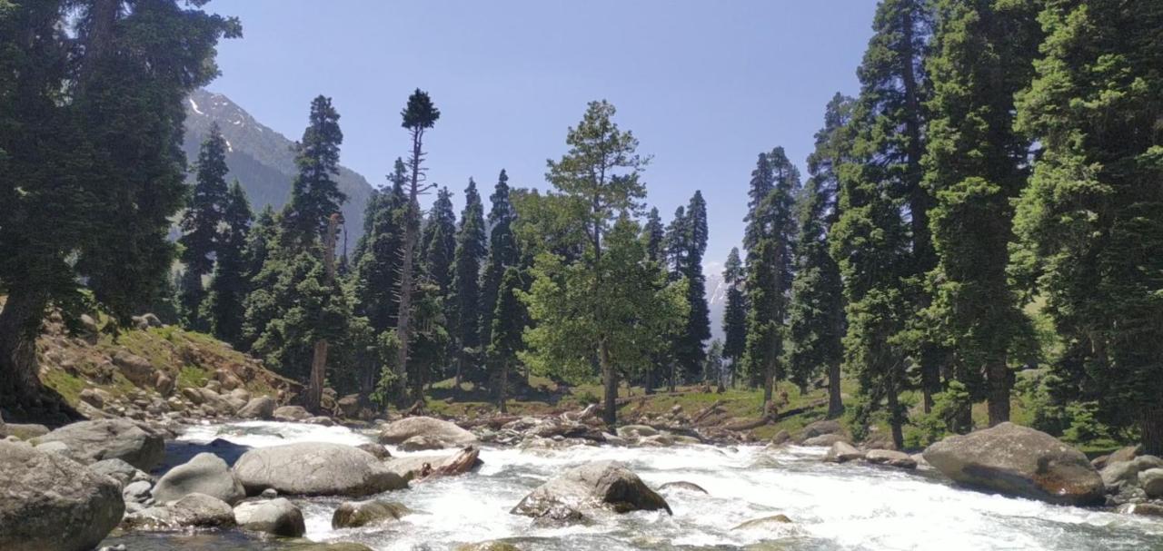 New Relax Inn, Pahalgam, 2 Km From Lidder Valley Pahalgam