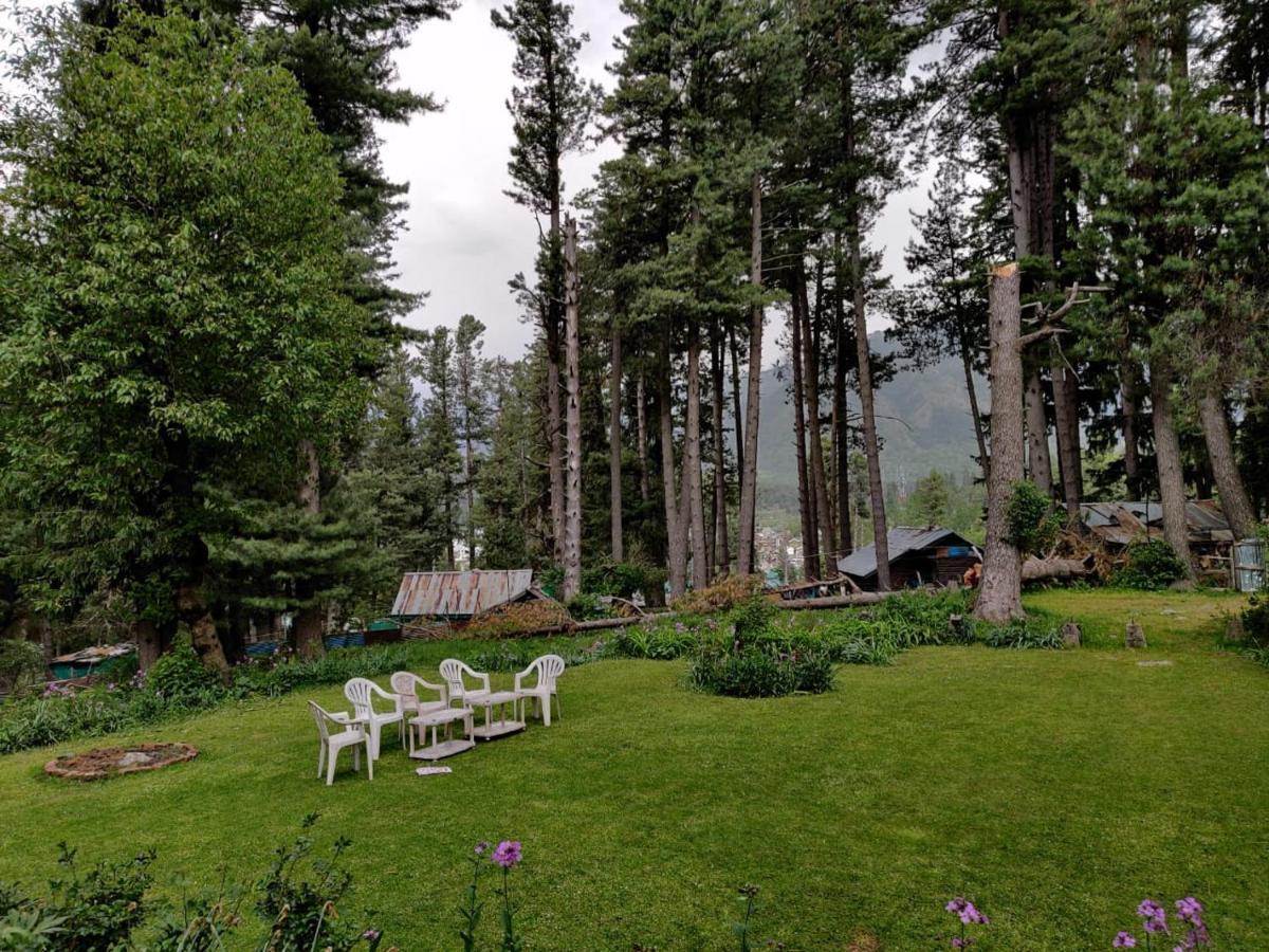 Hotel Oswal
