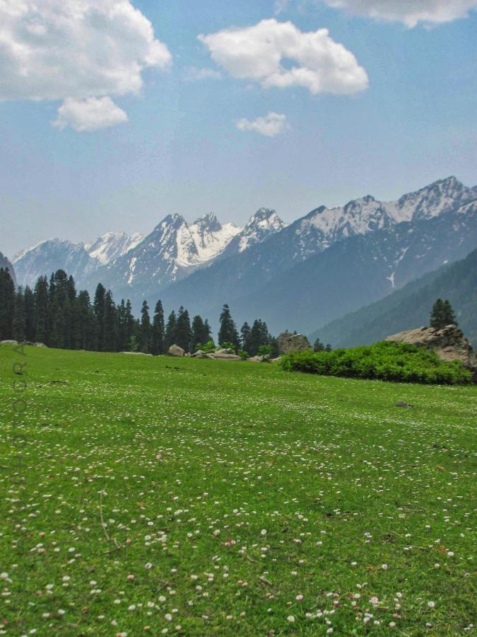 Kashmir Outlook Adventures Campsite Pahalgam