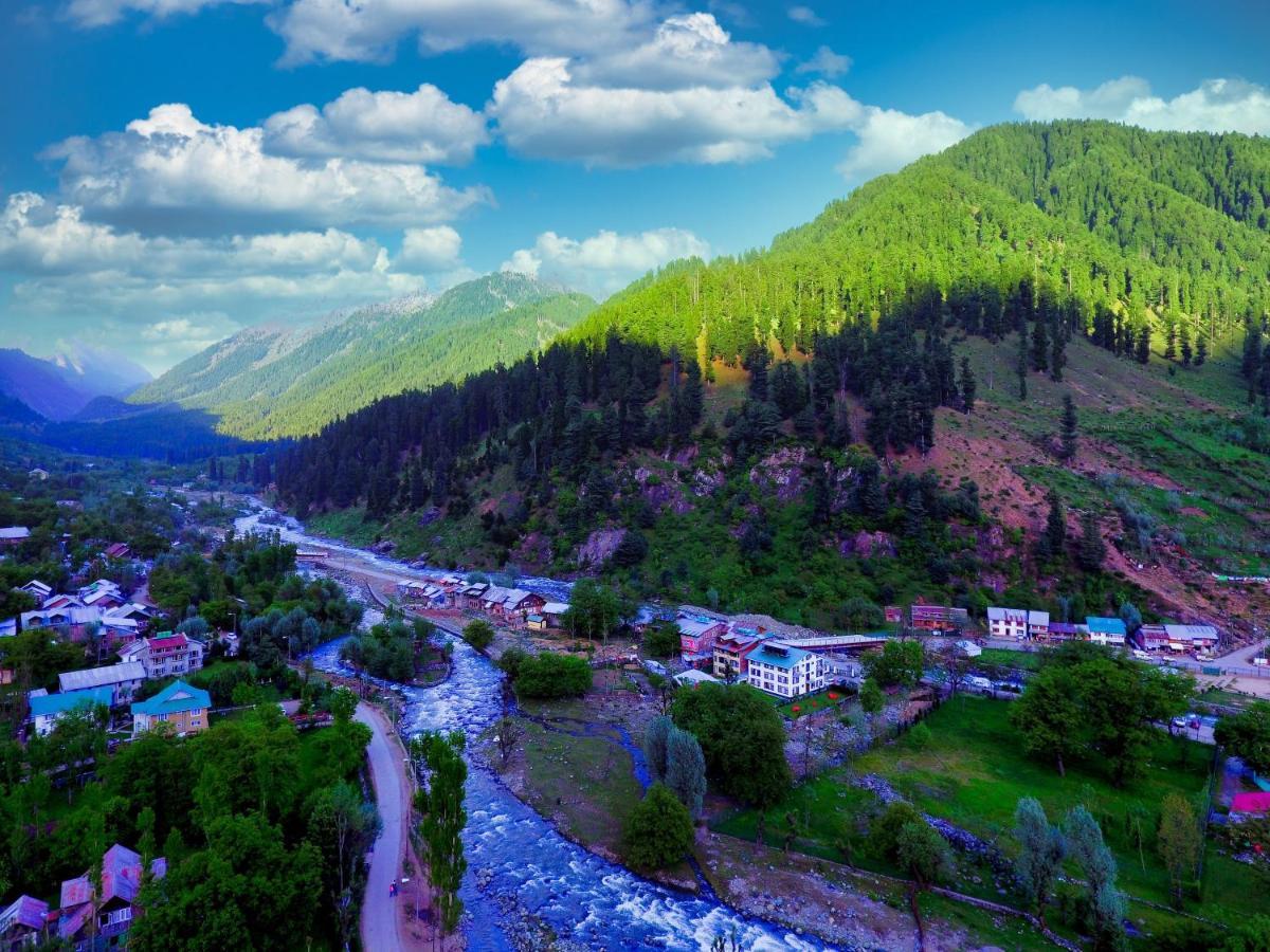 Pine Spring Pahalgam
