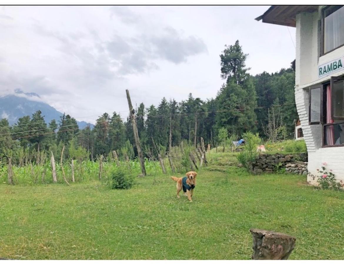 Homestay Ramba Palace,