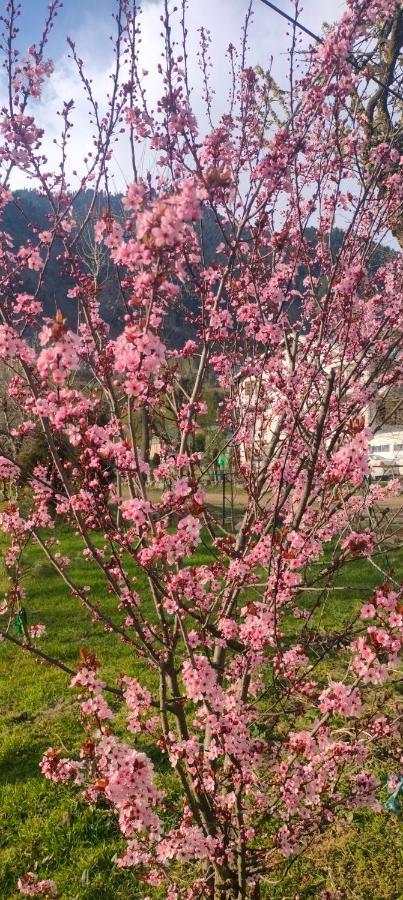 Grand Heritage 2* Pahalgam