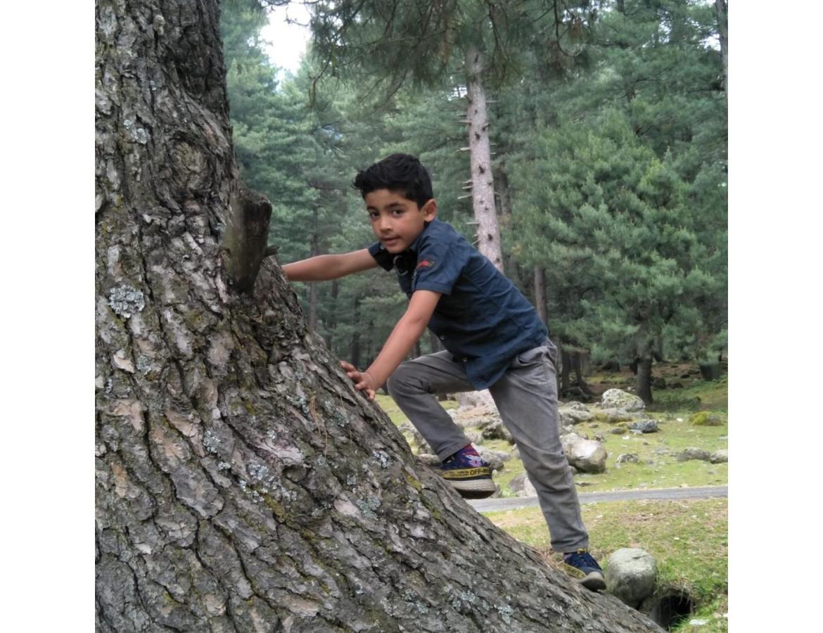 Wonderland, Homestay Pahalgam