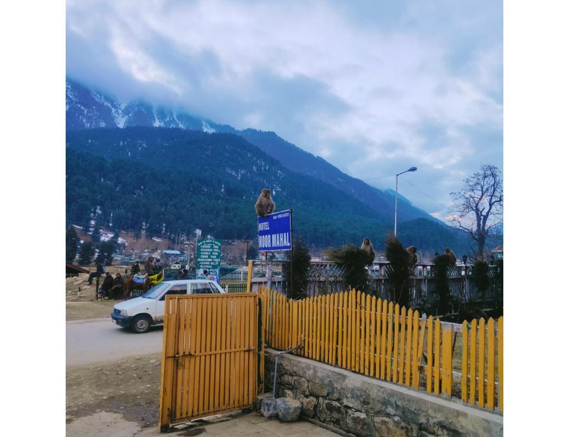 Homestay Noor Mahal,