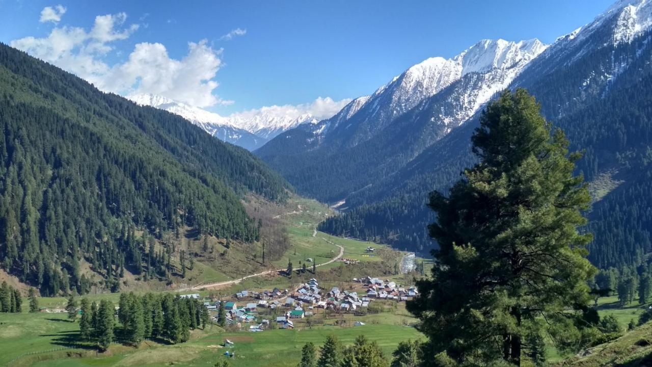 Kolahoi Heights