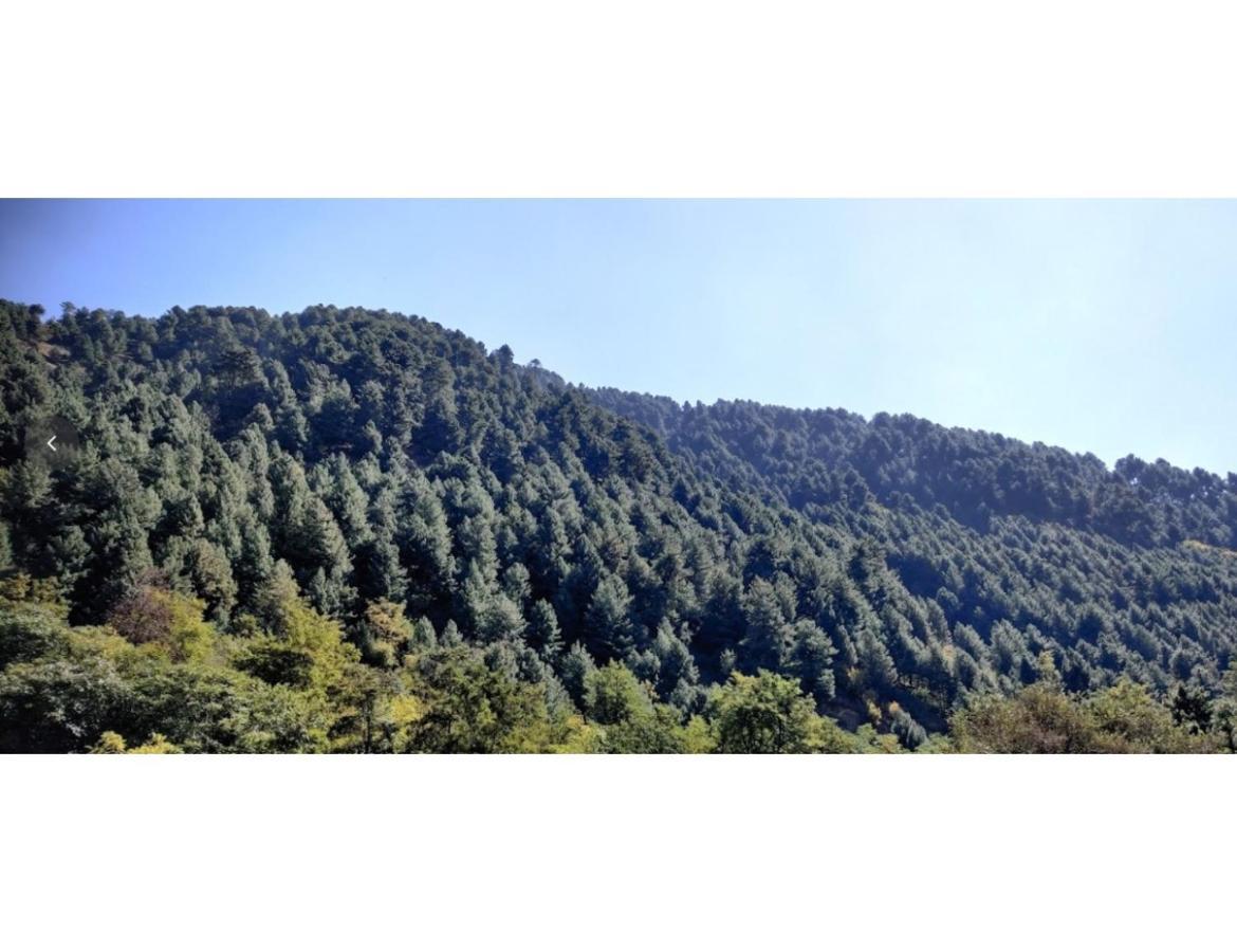 Grand Mala Resorts, Pahalgam
