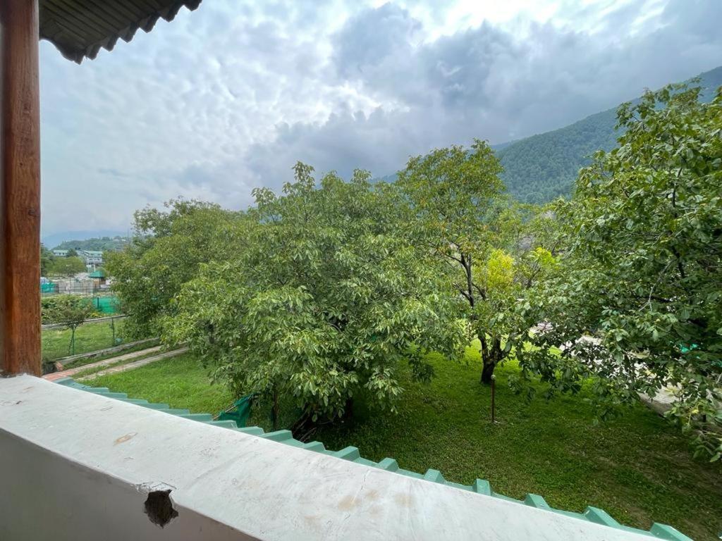 Hotel Walnut Tree *