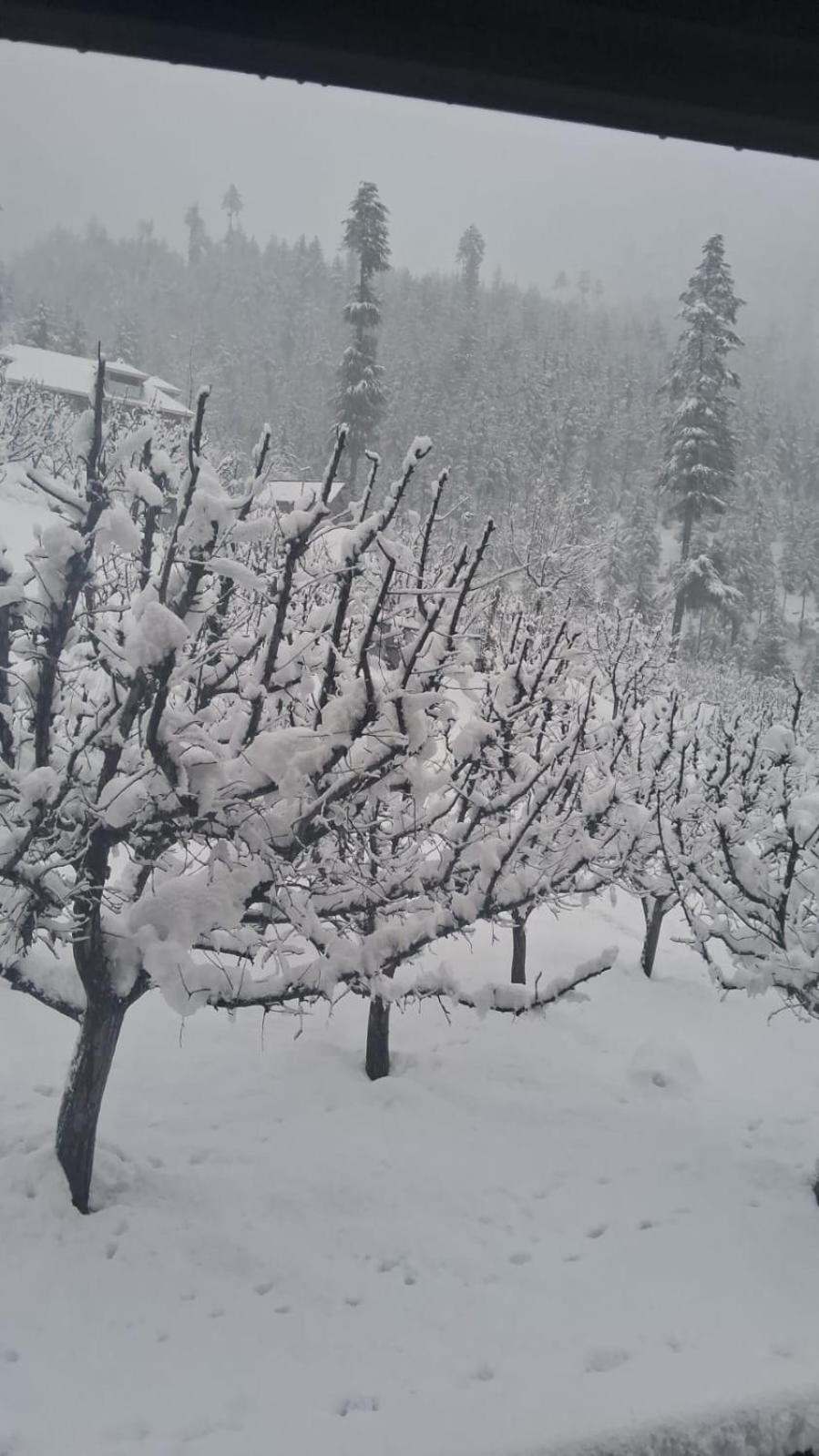 Apple Garden View And Restaurant Pahalgam