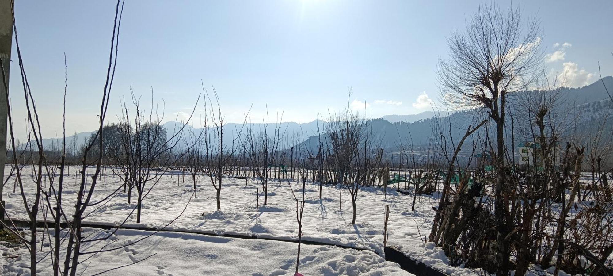 Apartment Apple Garden View And Restaurant