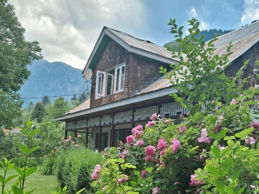 Guest house Pk