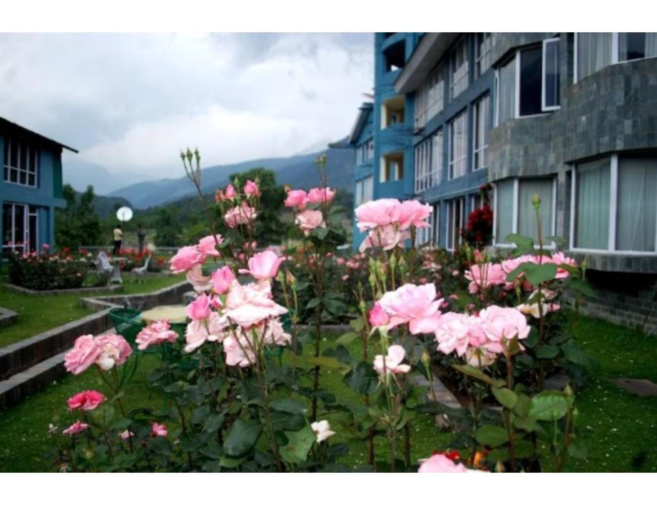 Woodstock ,pahalgam Homestay Pahalgam