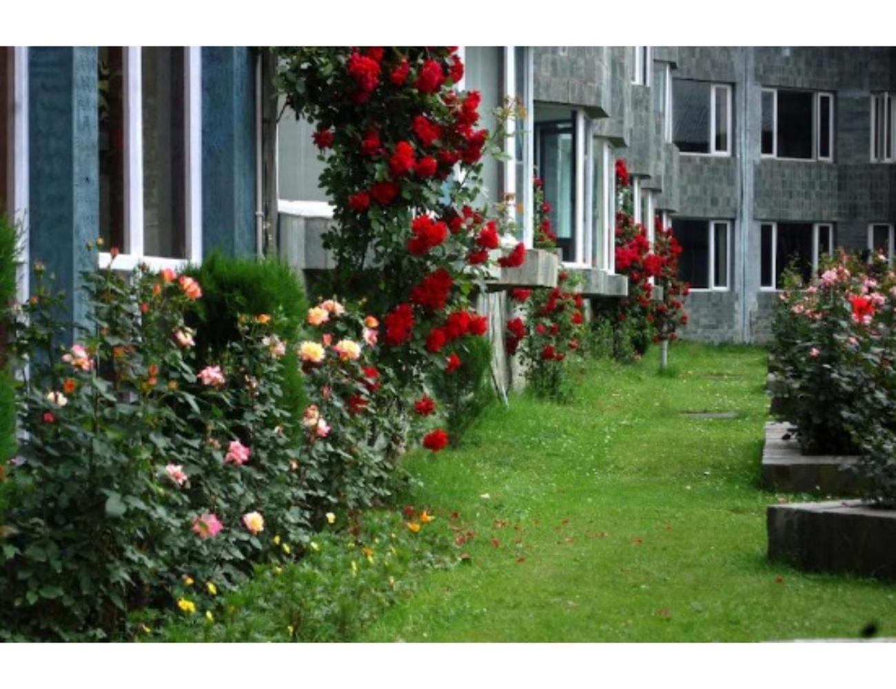 Woodstock ,pahalgam *