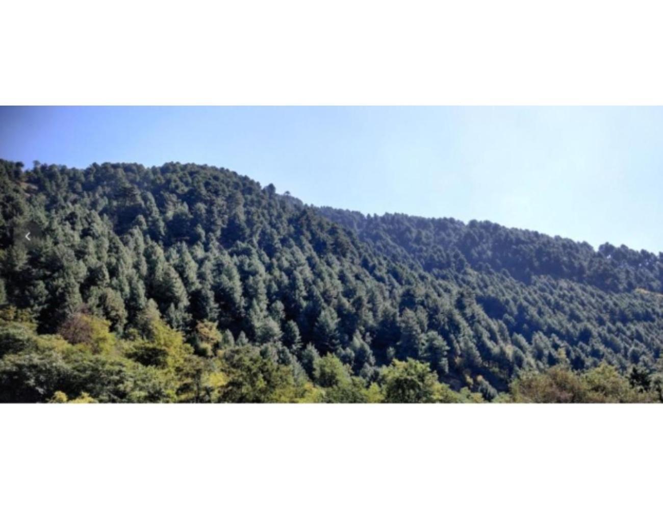 Grand Mala Resorts, Pahalgam