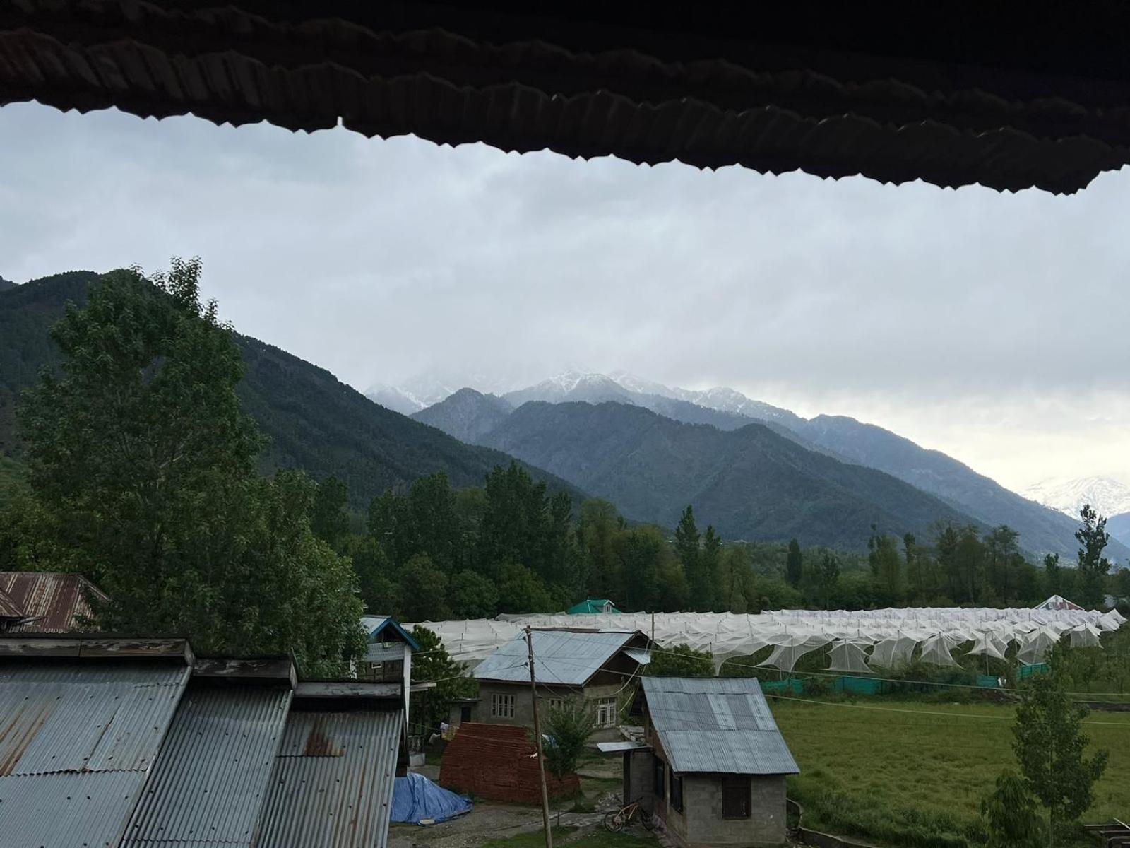 Mountain Orchard Retreat