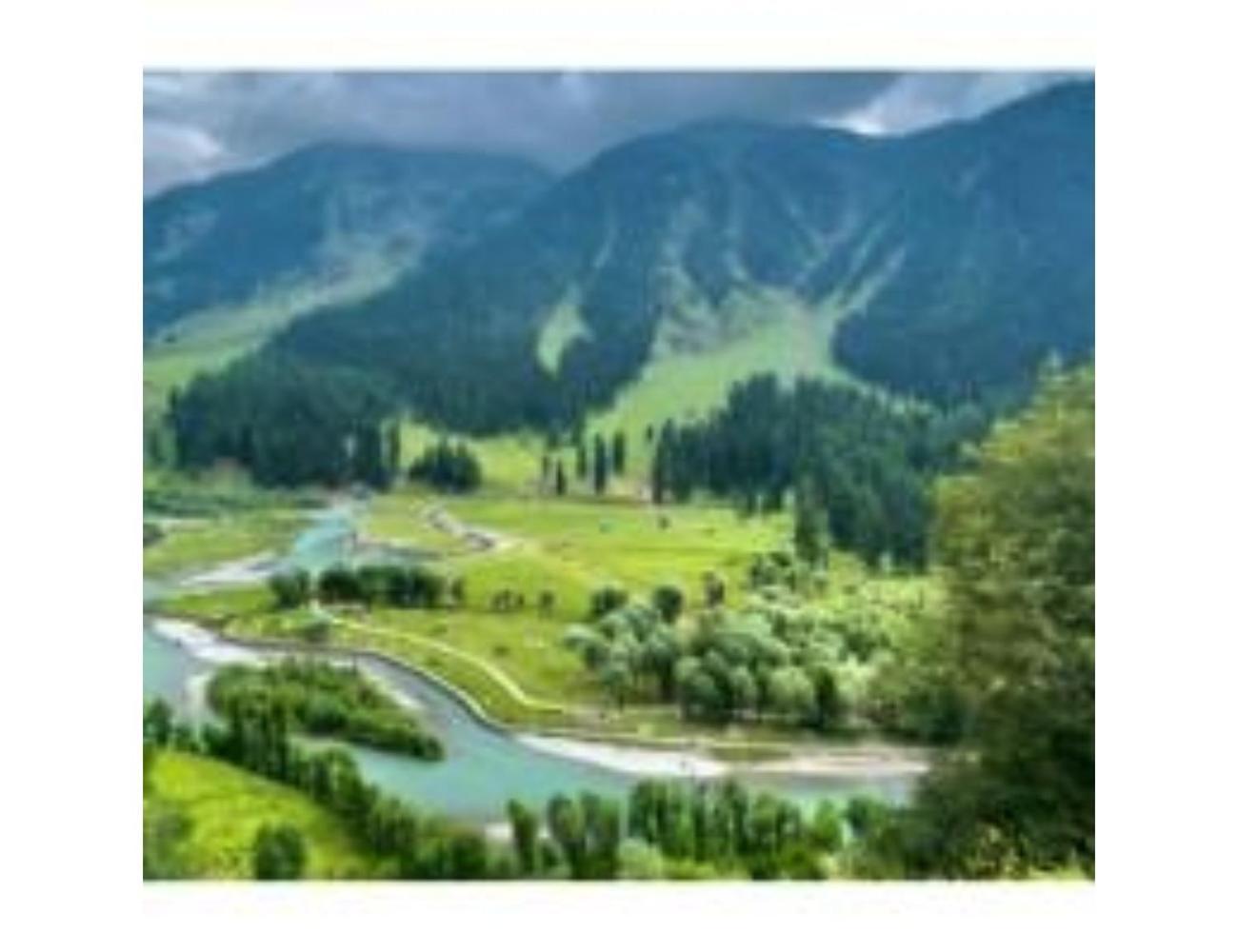 Amarnath Palace, ,near Laripora,pahalgam Hotel Pahalgam