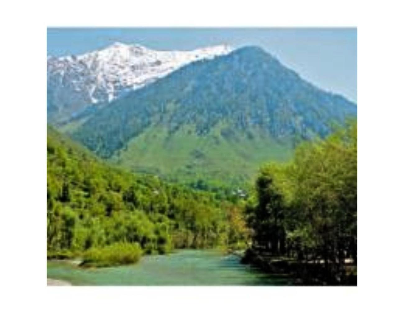 Amarnath Palace, ,near Laripora,pahalgam Pahalgam