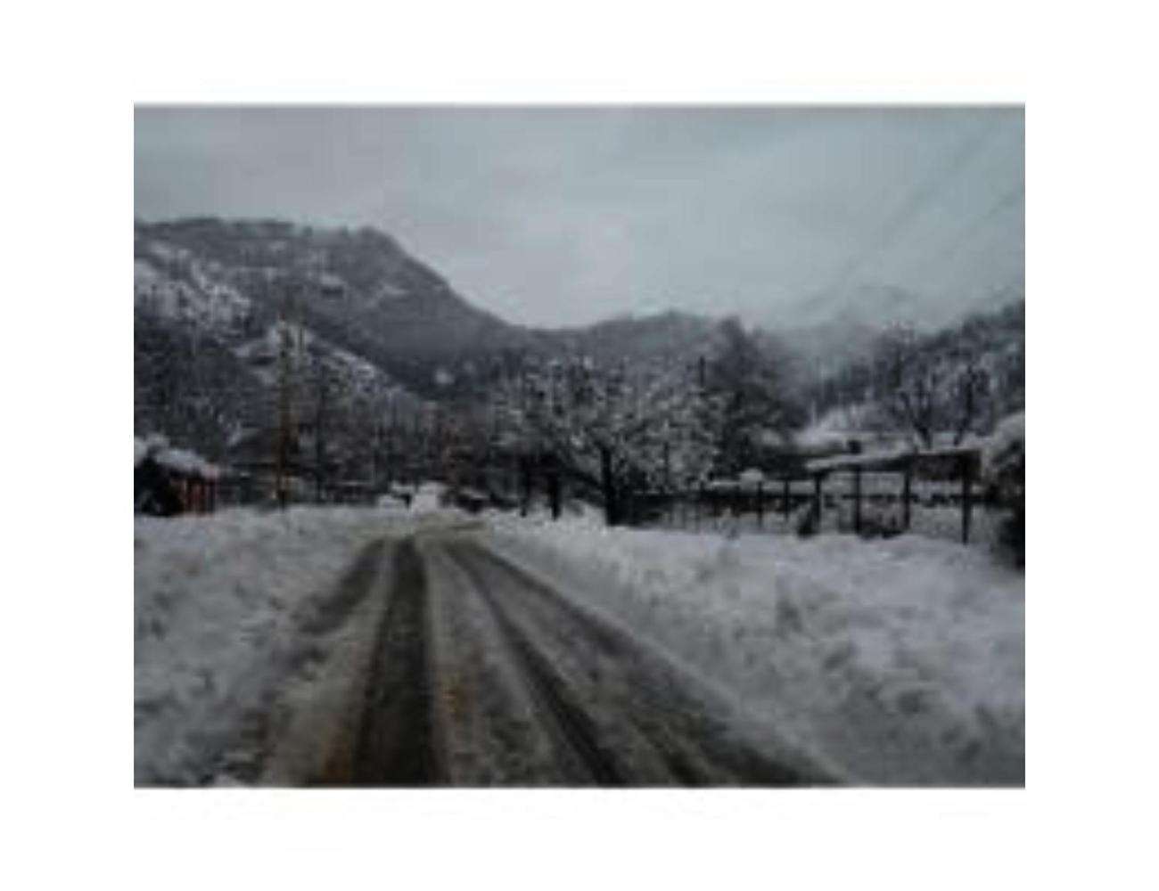 Snow Peak Guest House, Near Lavender Park ,pahalgam Hotel Pahalgam