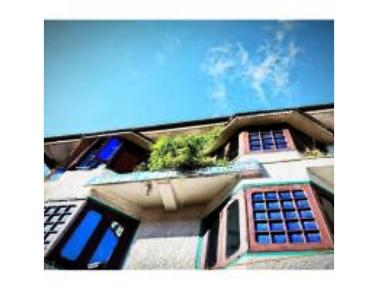 Snow Peak Guest House, Near Lavender Park ,pahalgam * Pahalgam
