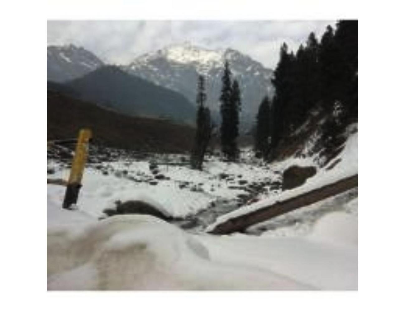 Snow Peak Guest House, Near Lavender Park ,pahalgam Pahalgam