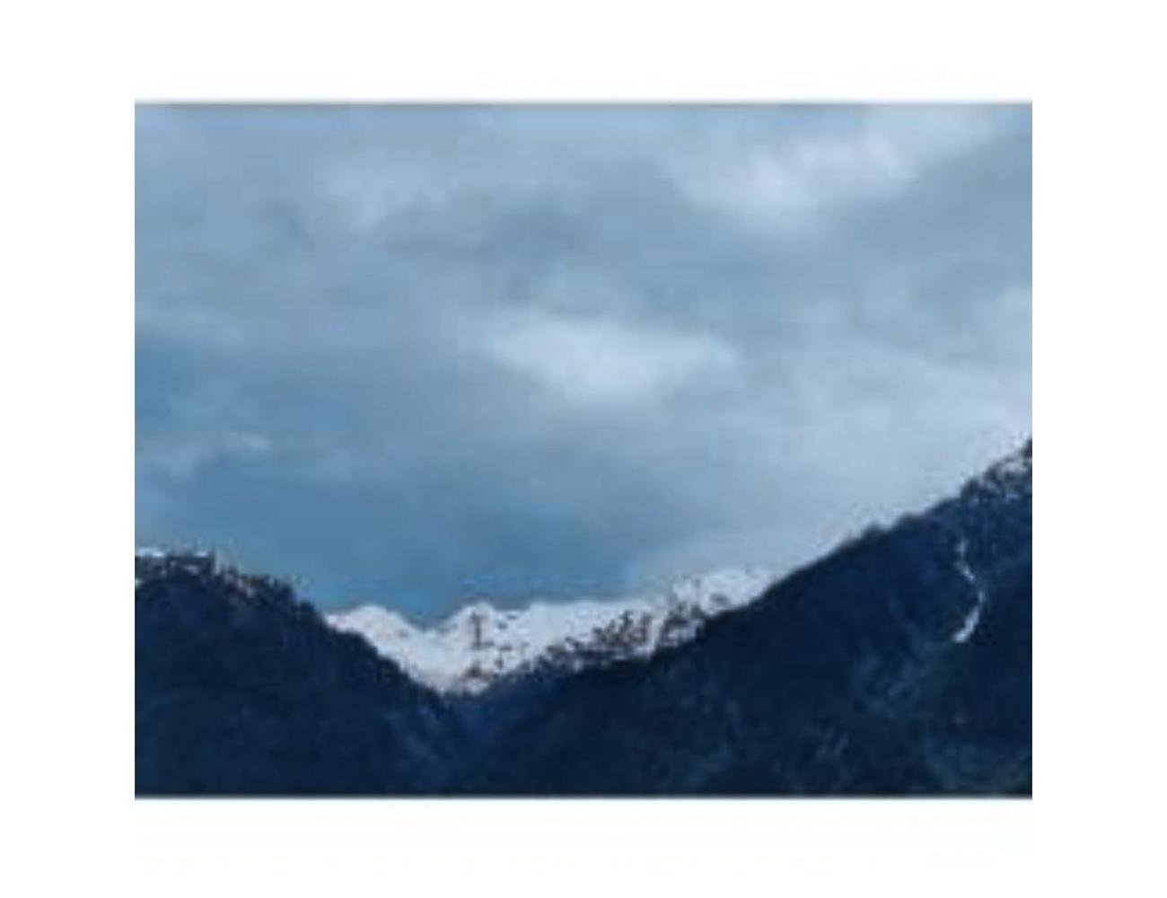 Hotel Snow Peak Guest House, Near Lavender Park ,pahalgam