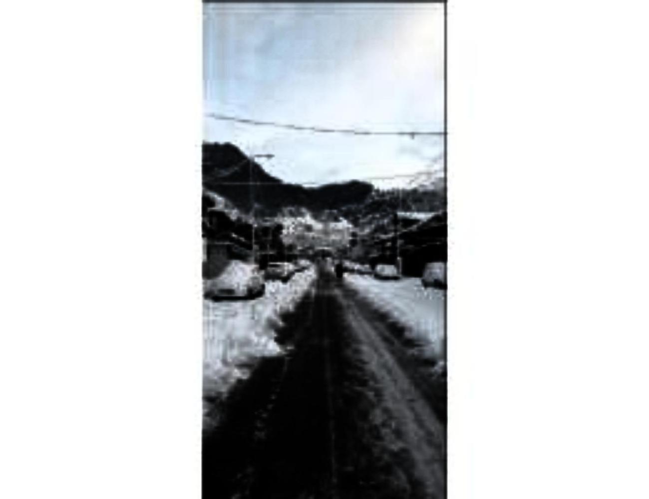 Hotel Snow Peak Guest House, Near Lavender Park ,pahalgam