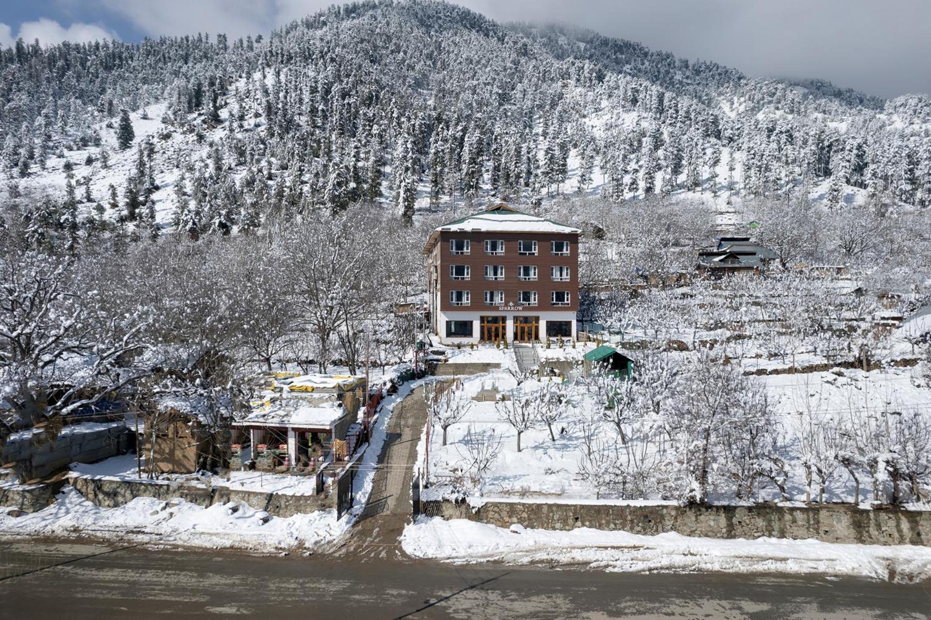 Sparrow Pahalgam