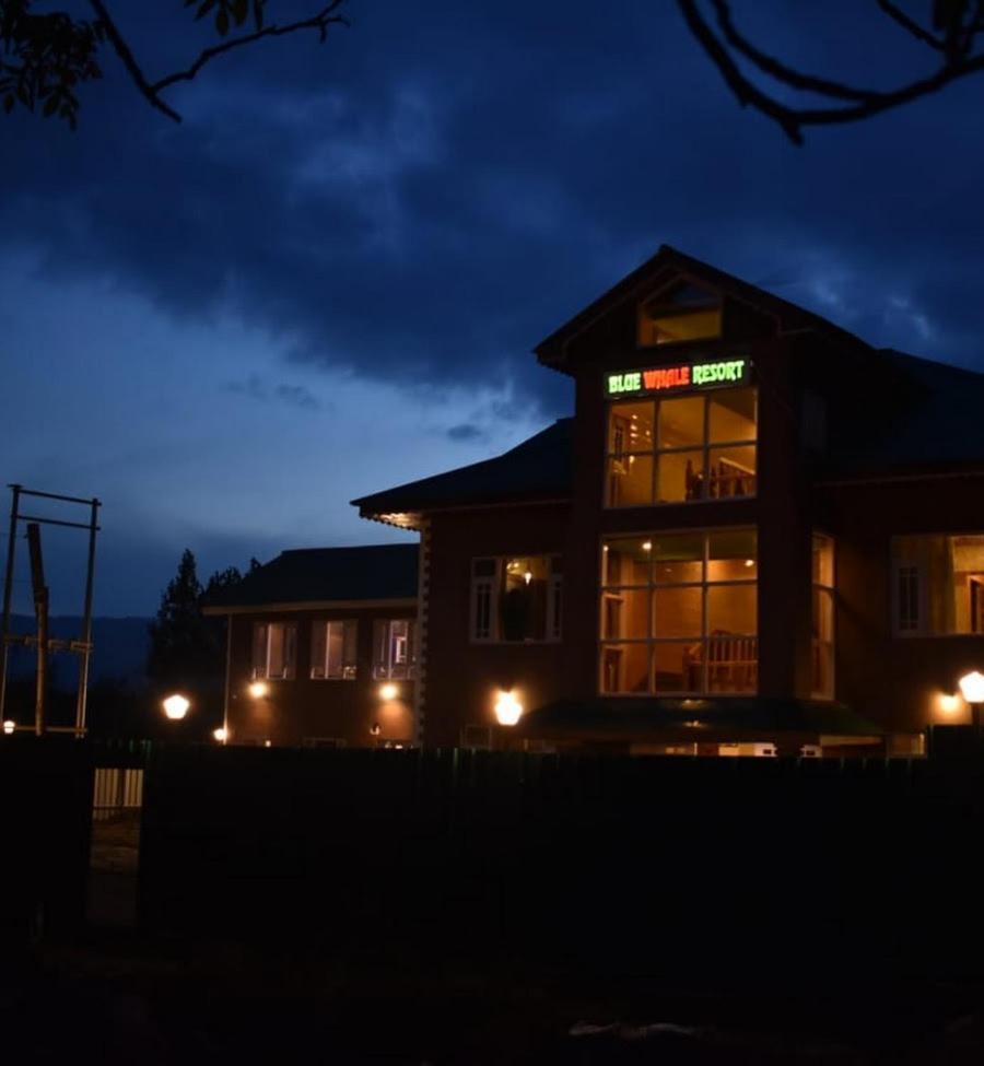 Blue Whale , Hotel