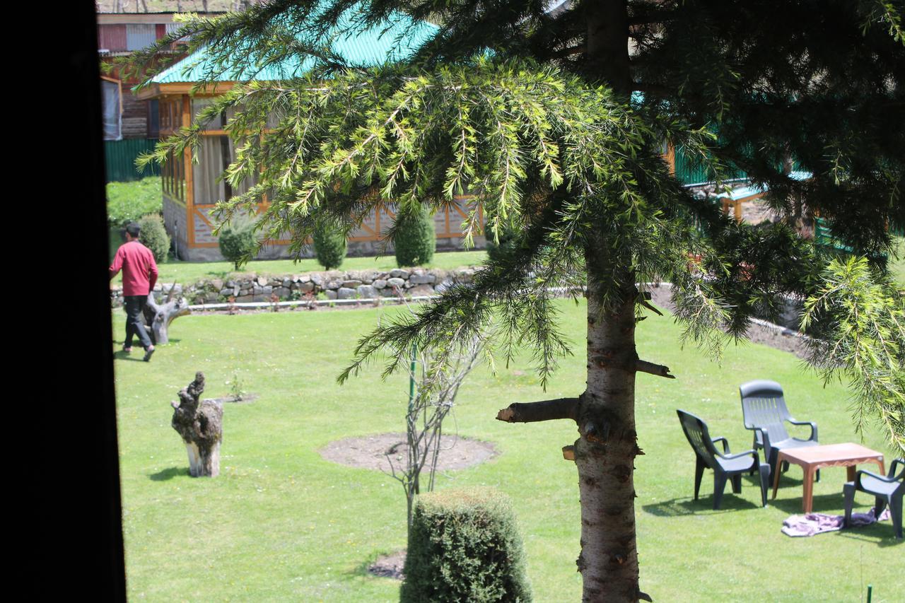 Hotel Volga 3*