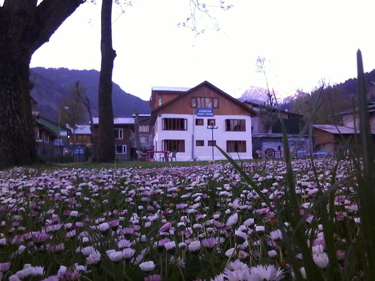 Zebrina Homestay *