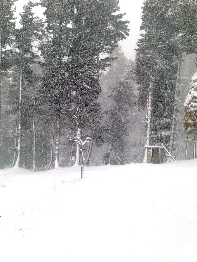 Lodge Angel's Pahalgam