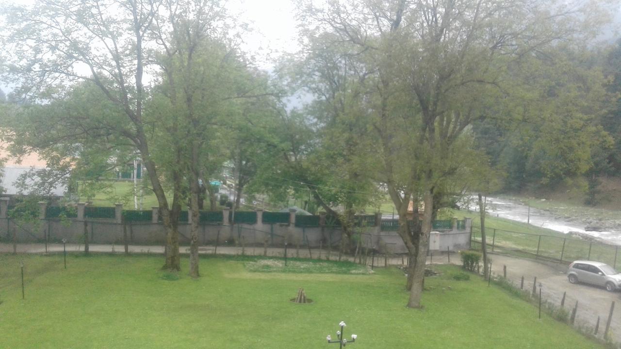 Zebrina