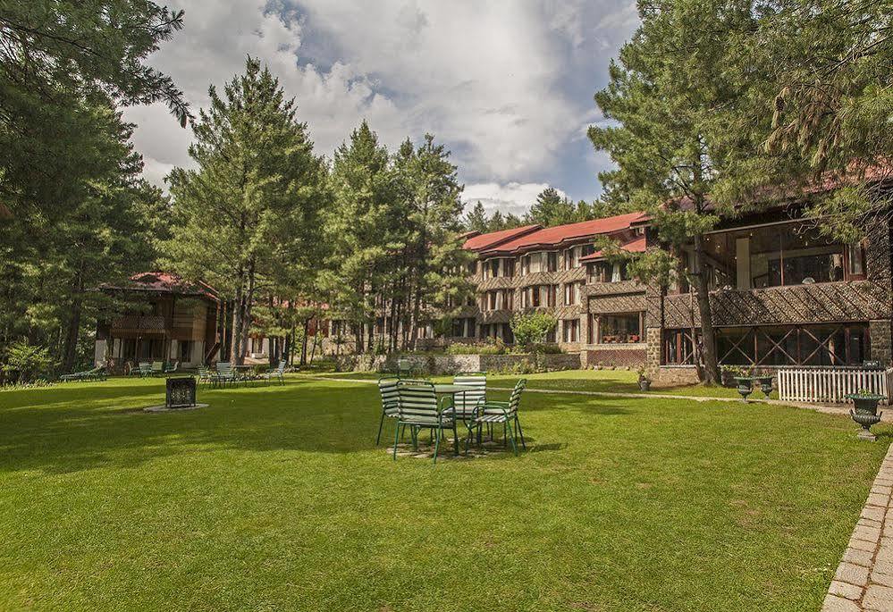Hotel Senator Pine N Peak 3*