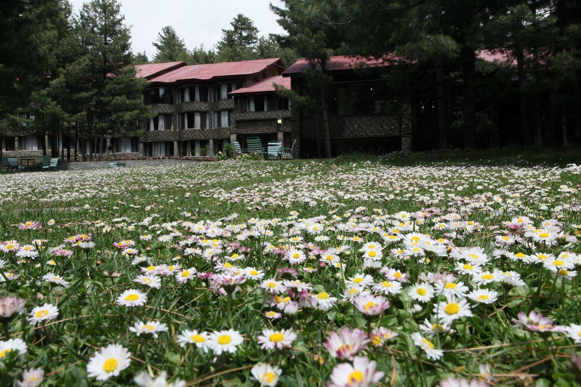 Hotel Senator Pine N Peak 3*