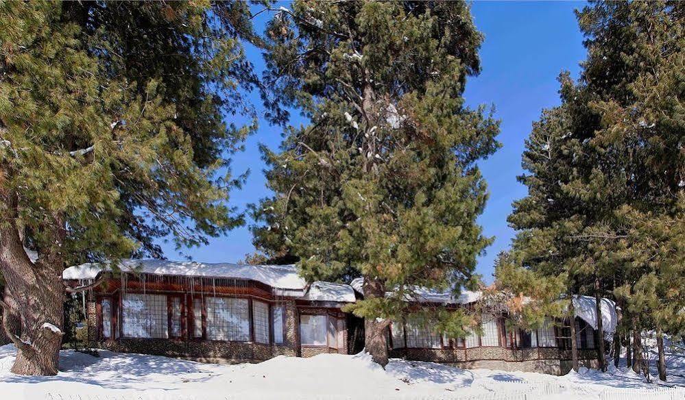 Senator Pine N Peak 3*