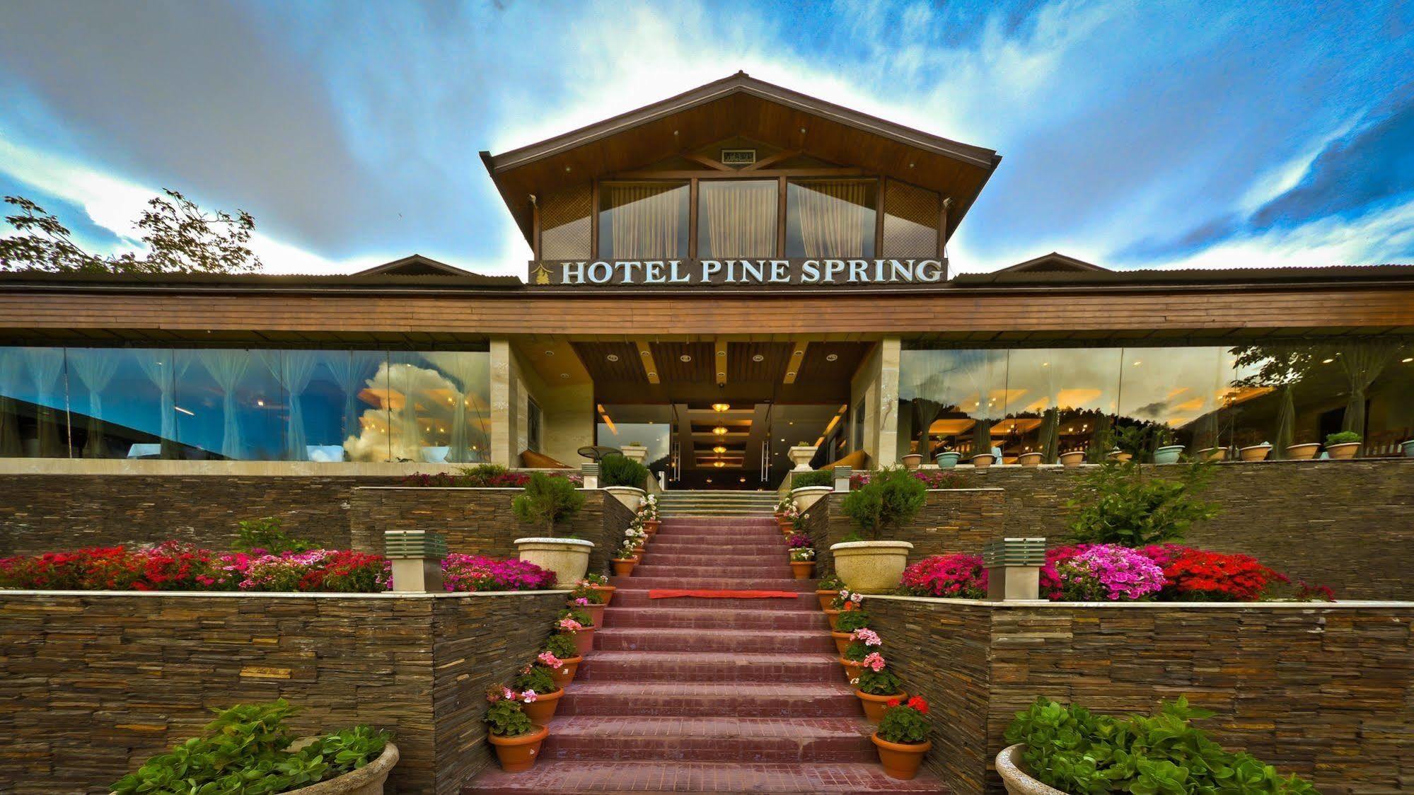 Pine Spring 4*