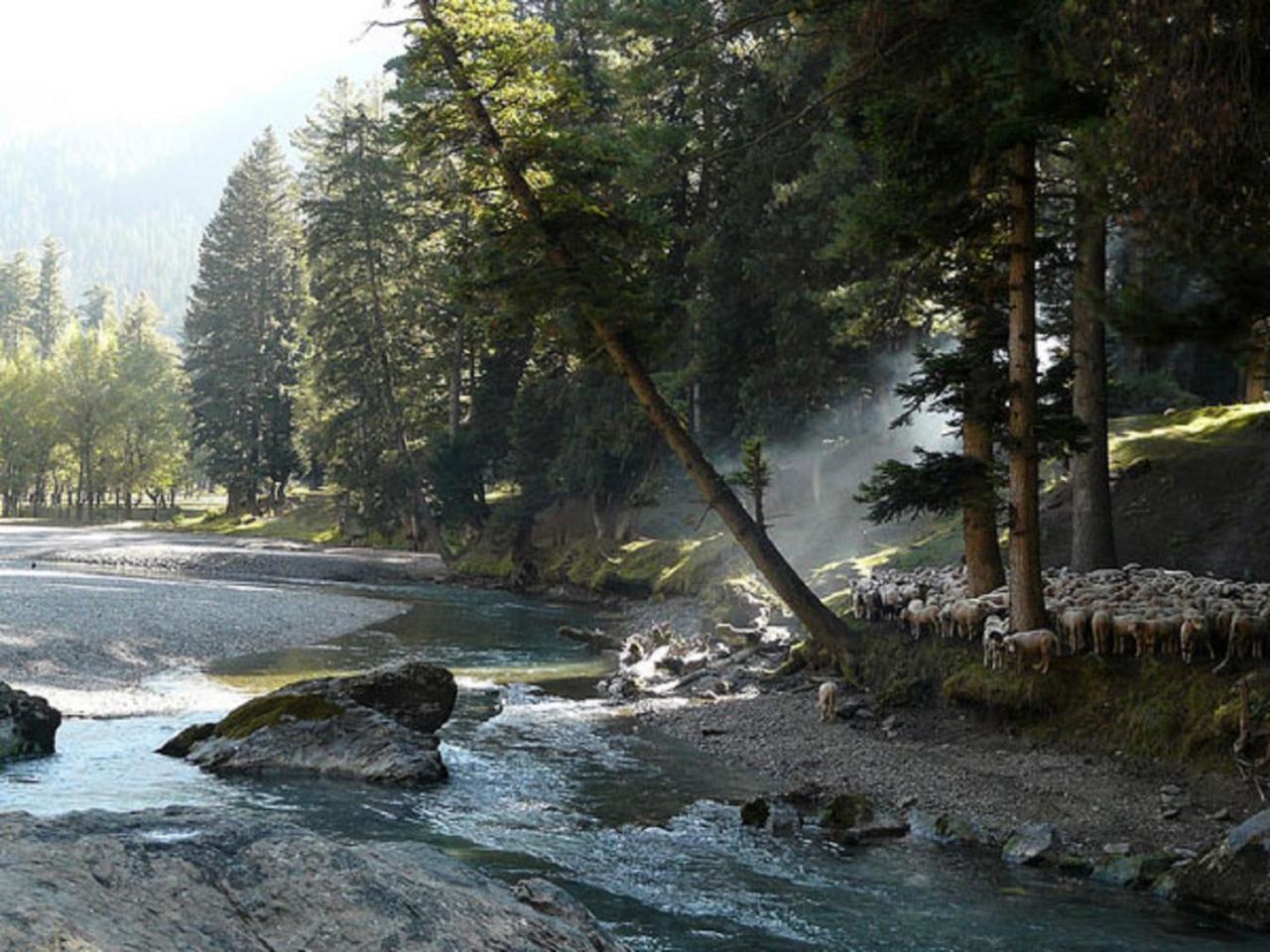 Hayat * Pahalgam