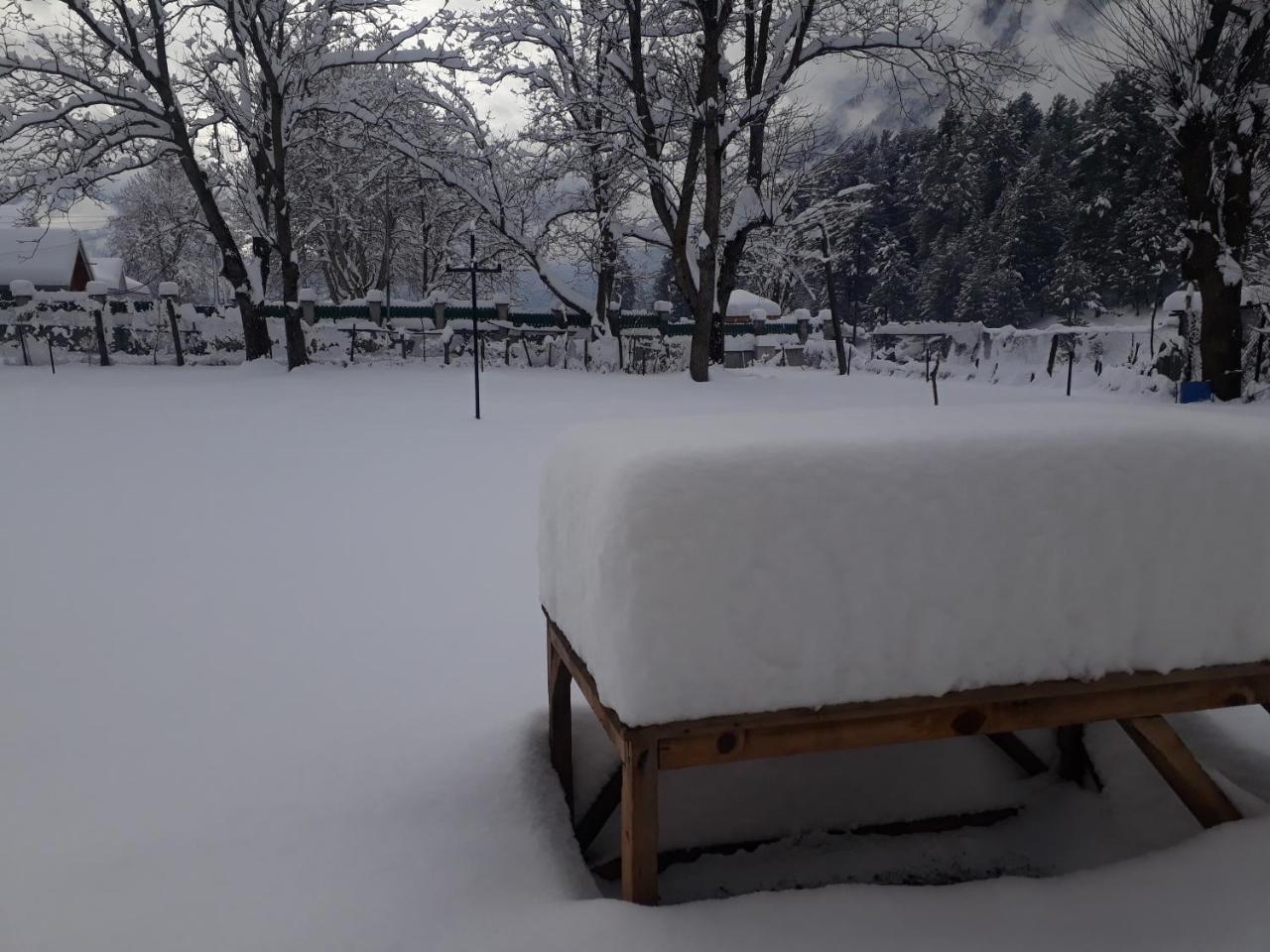 Zebrina Homestay Pahalgam