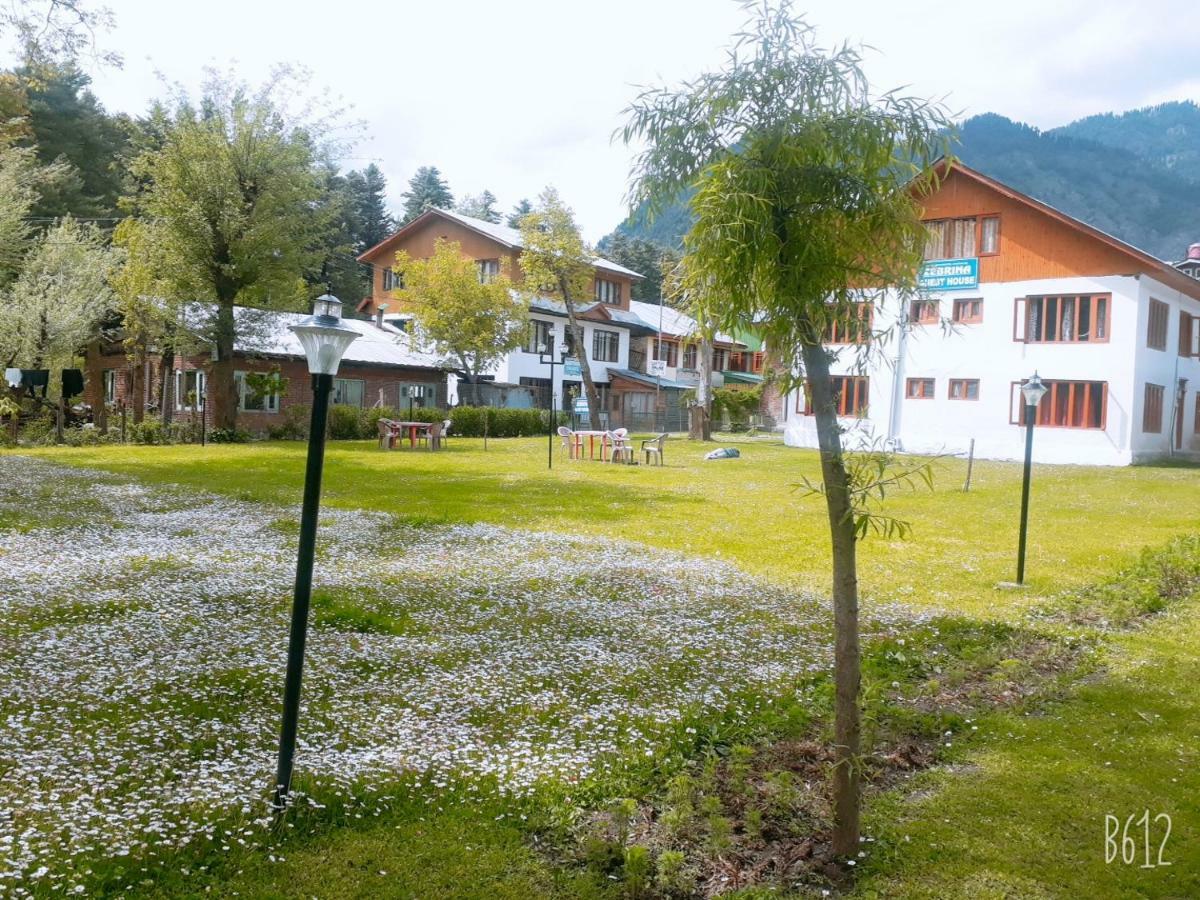 Zebrina