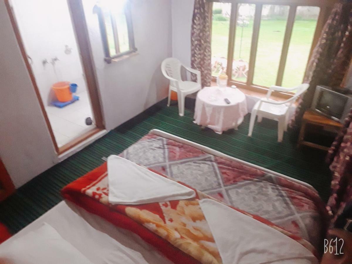 Zebrina * Pahalgam